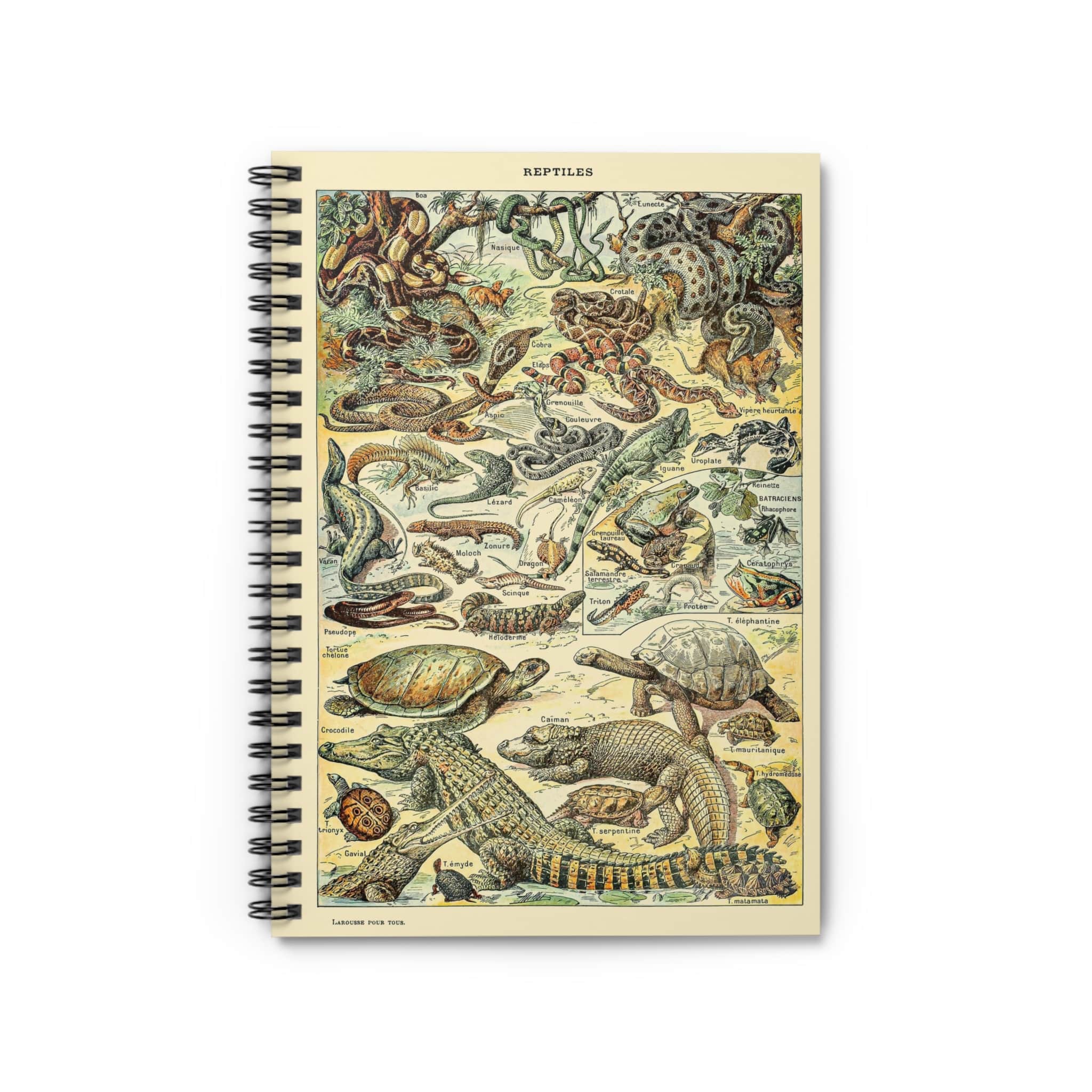 Lizards and Snakes Notebook | Reptile Chart Cover | Journals & Planner ...
